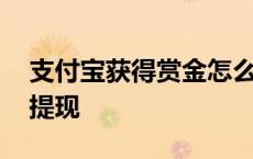 支付宝获得赏金怎么提现 支付宝的赏金怎么提现 