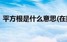 平方根是什么意思(在数学中) 平方根是什么 