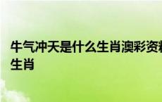 牛气冲天是什么生肖澳彩资料正版49853牛 牛气冲天是什么生肖 