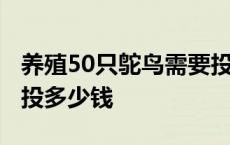 养殖50只鸵鸟需要投资多少钱 养20只鸵鸟需投多少钱 