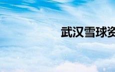 武汉雪球资本 武汉雪 