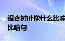 银杏树叶像什么比喻句大全 银杏树叶像什么比喻句 