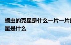 螨虫的克星是什么一片一片的红色越抓越痒有水泡 螨虫的克星是什么 