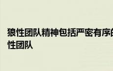 狼性团队精神包括严密有序的集体组织和高效的团队协作 狼性团队 