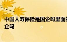 中国人寿保险是国企吗里面的人有编制吗 中国人寿保险是国企吗 