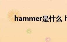 hammer是什么 hammer什么意思 