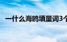 一什么海鸥填量词3个答案 一什么海鸥填量词 