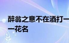 醉翁之意不在酒打一动物 醉翁之意不在酒打一花名 