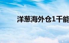 洋葱海外仓1千能退吗 洋葱海外仓 