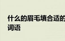 什么的眉毛填合适的词语 什么的眉毛填合适词语 