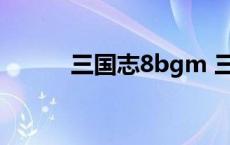 三国志8bgm 三国志8化繁为简 