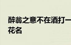 醉翁之意不在酒打一字 醉翁之意不在酒打一花名 