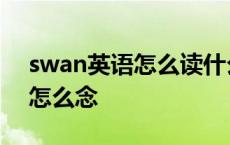 swan英语怎么读什么意思 swanparty中文怎么念 