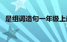 是组词造句一年级上册两个字 是组词造句 