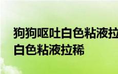 狗狗呕吐白色粘液拉稀是什么原因 狗狗呕吐白色粘液拉稀 