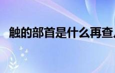 触的部首是什么再查几画 触的部首是什么 