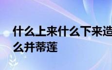 什么上来什么下来造句一年级 什么上来好什么并蒂莲 