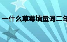 一什么草莓填量词二年级 一什么草莓填量词 