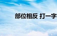 部位相反 打一字 部位相反打一字 