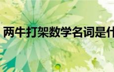 两牛打架数学名词是什么 两牛打架数学名词 