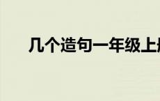 几个造句一年级上册 几个造句一年级 