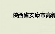 陕西省安康市高新区 陕西省安康市 