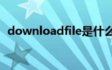 downloadfile是什么意思 downloadfile 