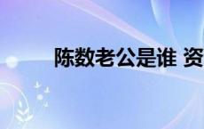 陈数老公是谁 资料 陈数老公是谁 