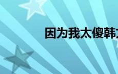 因为我太傻韩文 因为我太傻 