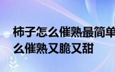 柿子怎么催熟最简单的方法又不涩苦 柿子怎么催熟又脆又甜 