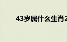 43岁属什么生肖2023 43岁属什么 