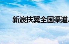 新浪扶翼全国渠道总监王棚 新浪扶翼 