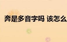 奔是多音字吗 该怎么组词语 奔是多音字吗 