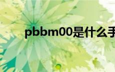 pbbm00是什么手机型号 pbbm00 