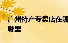 广州特产专卖店在哪里 广州特产批发市场在哪里 