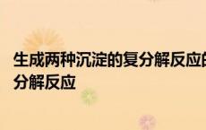 生成两种沉淀的复分解反应的化学方程式 生成两种沉淀的复分解反应 