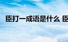 臣打一成语是什么 臣成语疯狂看图猜成语 