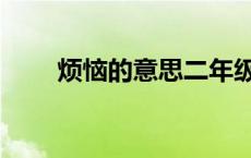 烦恼的意思二年级上册 烦恼的意思 