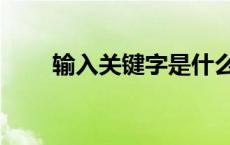 输入关键字是什么意思 输入关键字 