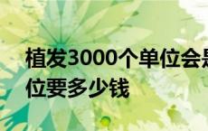 植发3000个单位会是什么效果 植发3000单位要多少钱 