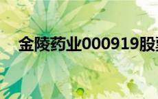 金陵药业000919股票 金陵药业000919 