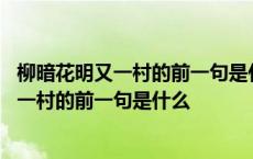 柳暗花明又一村的前一句是什么山重水复疑无路 柳暗花明又一村的前一句是什么 