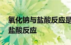 氧化钠与盐酸反应是复分解反应吗 氧化钠与盐酸反应 