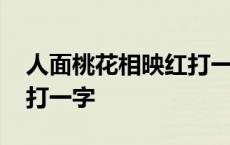 人面桃花相映红打一个成语 人面桃花相映红打一字 