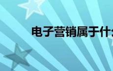 电子营销属于什么大类 电子营销 