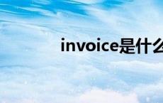 invoice是什么意思 invoice 