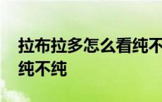 拉布拉多怎么看纯不纯幼犬 拉布拉多怎么看纯不纯 