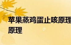 苹果蒸鸡蛋止咳原理及作用 苹果蒸鸡蛋止咳原理 