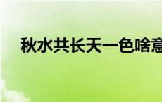 秋水共长天一色啥意思 秋水共长天一色 