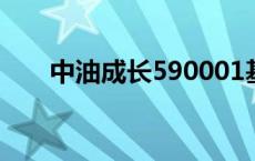 中油成长590001基金 中油成长基金 